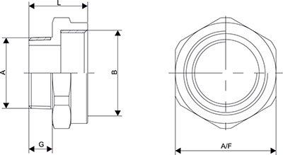 Adaptor NPT Diagram 2
