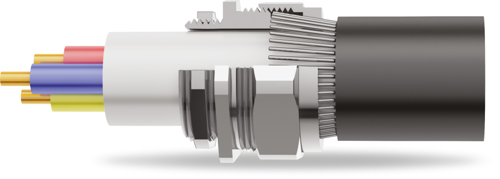 BW 2PT Armoured Cable Gland 3D Diagram