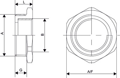 Reducer NPT Diagram